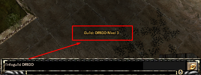 Guild Level System